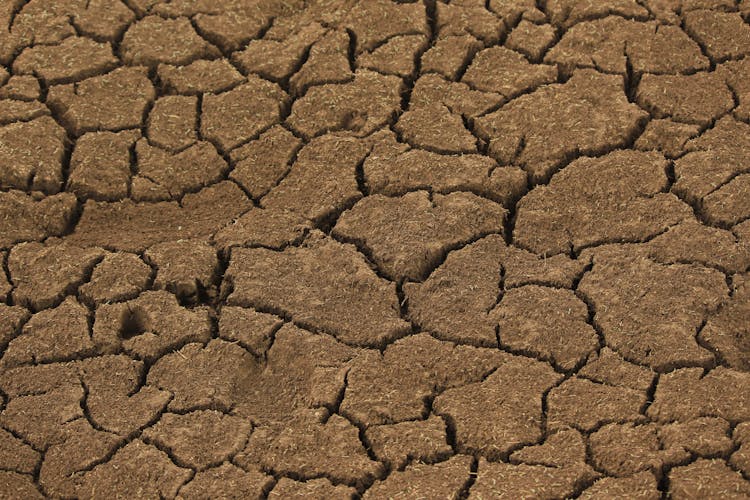 Dry Cracked Earth