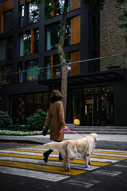 動物, 垂直拍攝, 女人 的 免費圖庫相片