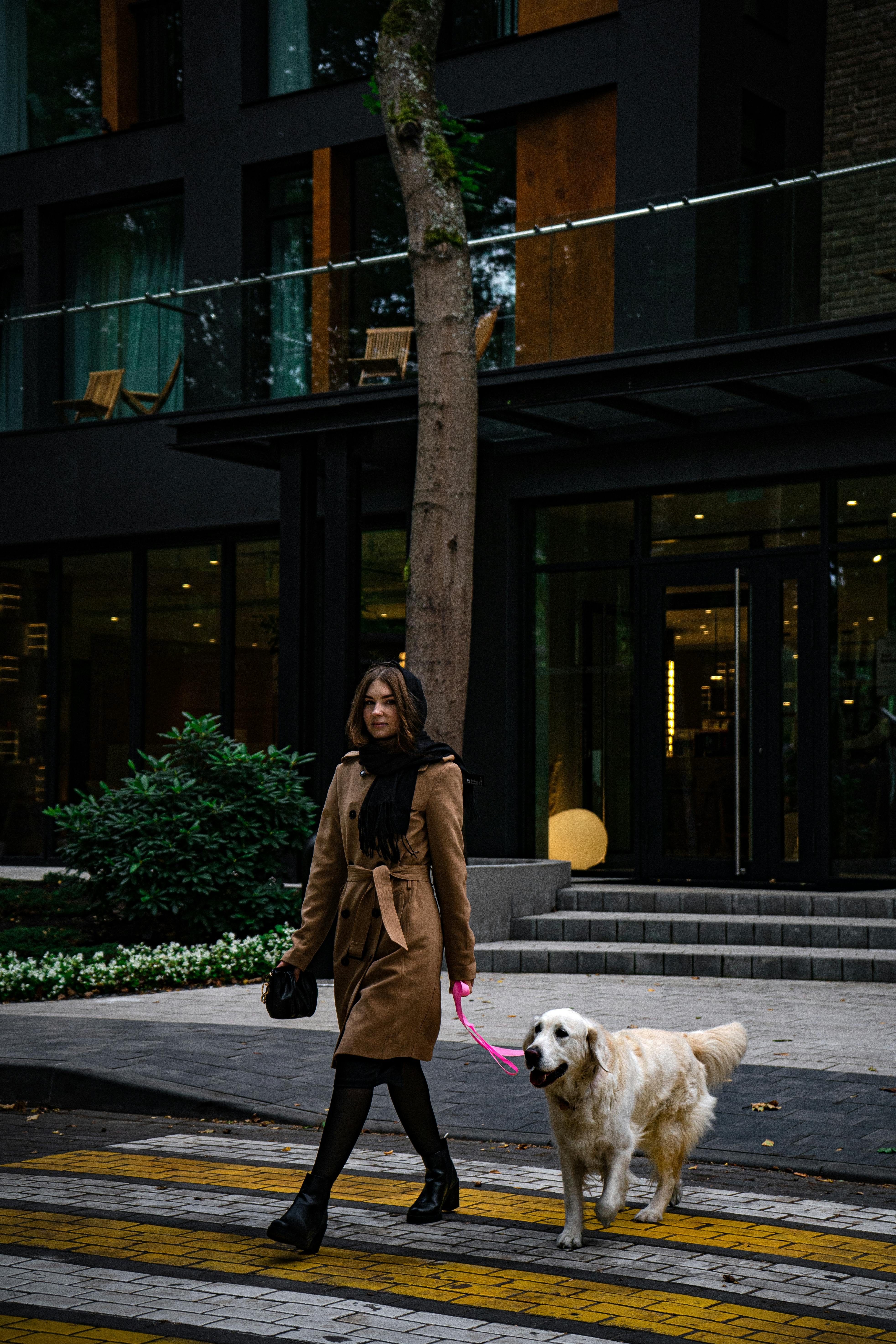 A Woman and a Dog Crossing the Street · Free Stock Photo