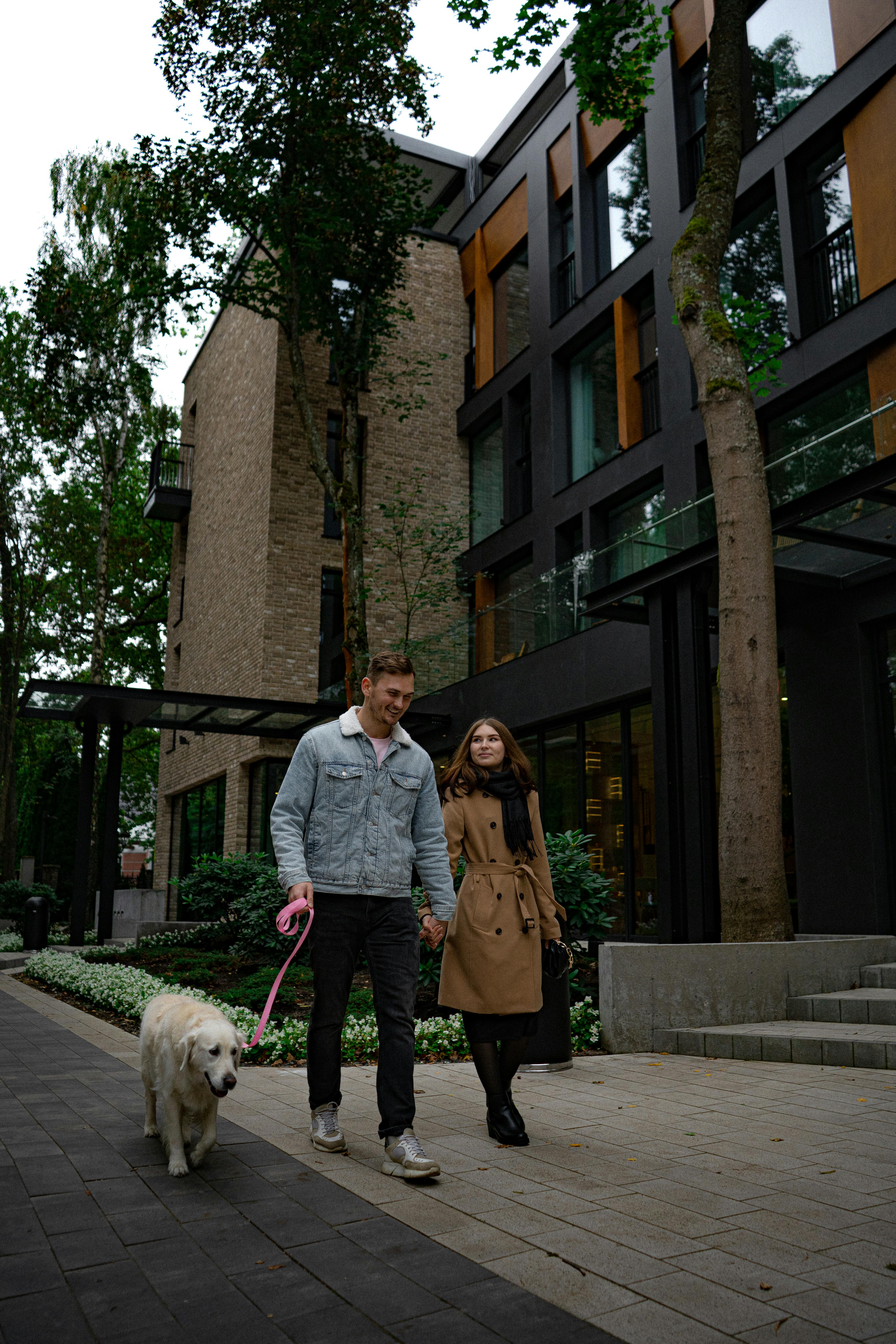 A Woman and a Dog Crossing the Street · Free Stock Photo A Woman and a Dog Crossing the Street · Free Stock Photo