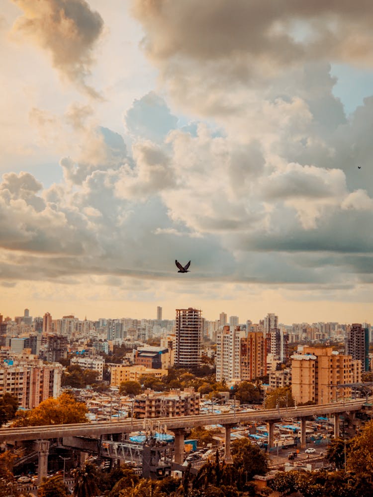 A Bird Flying Over A City