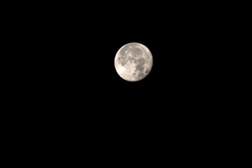 Kostnadsfri bild av fenomen, fullmåne, månsken