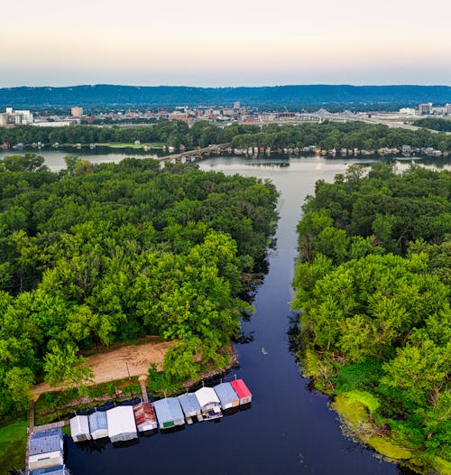 Village by River in Forest