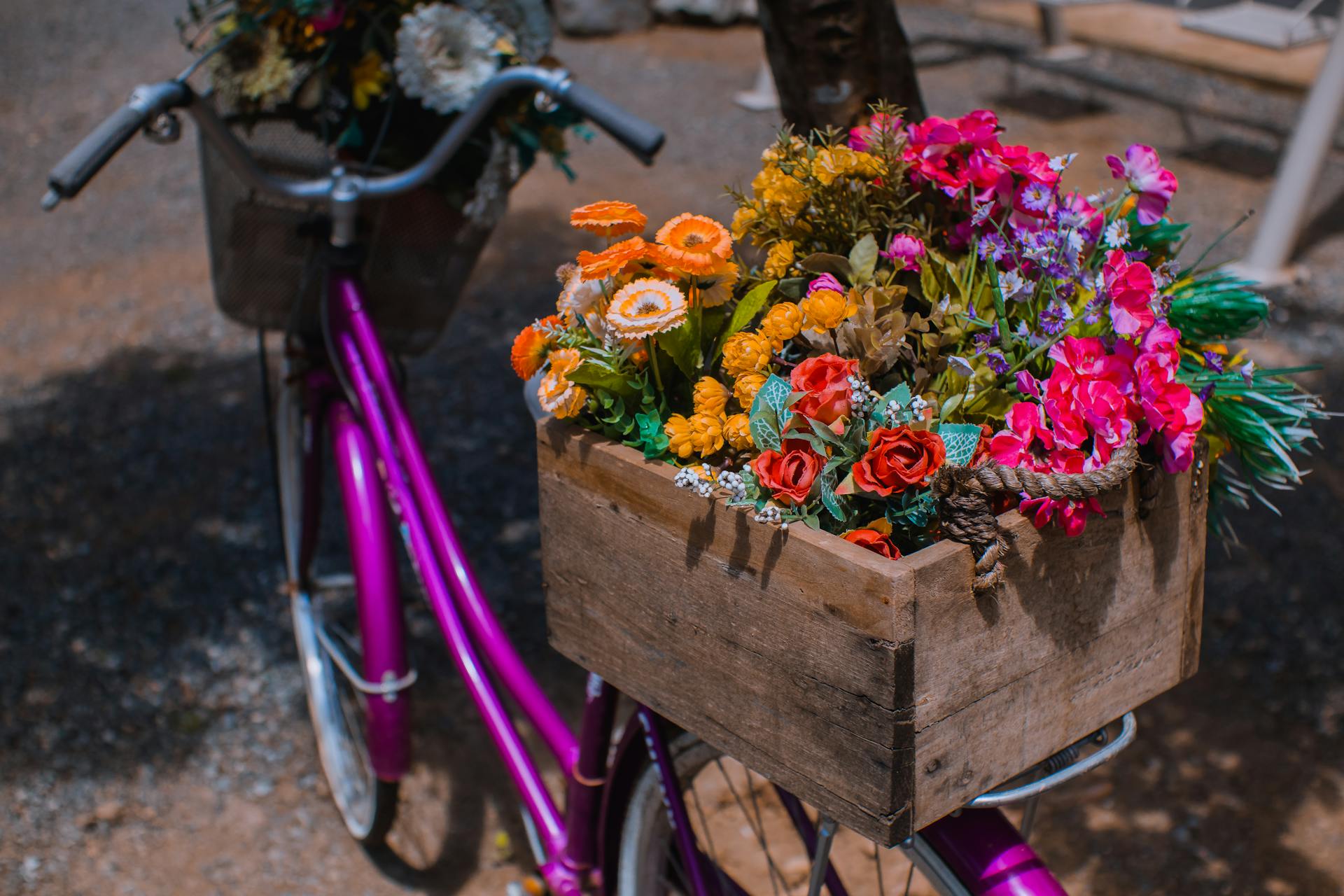 A vivid arrangement of flowers in a wooden box on a pink bicycle in a sunny outdoor setting.