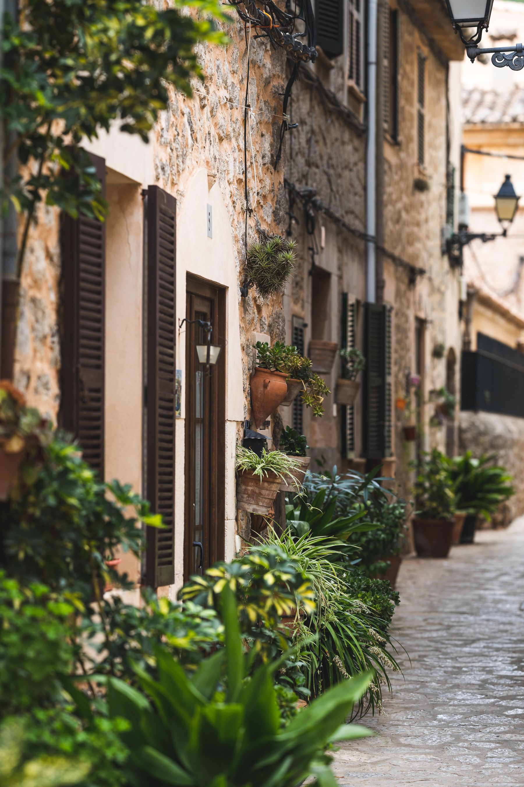 Calle tradicional de Valldemossa, Mallorca, con plantas y arquitectura de piedra