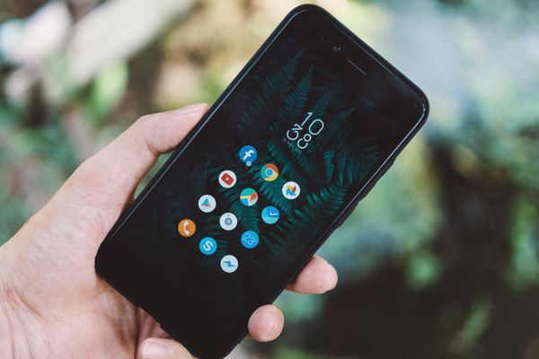 Hand holding a phone showing an app screen — FOX on Pexels