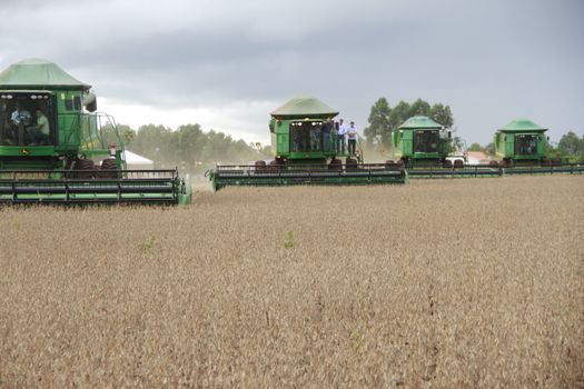 Soybean Futures Plummet Amid Improved Crop Conditions in Brazil and the U.S.