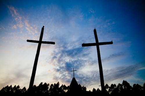 Immagine gratuita di alberi, cattolico, chiesa