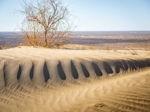 Gratuit Imagine de stoc gratuită din arid, deșert, nefertil Fotografie de stoc