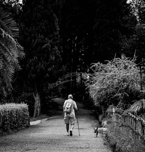 Grayscale Photo of a Person Walking on the Pathway