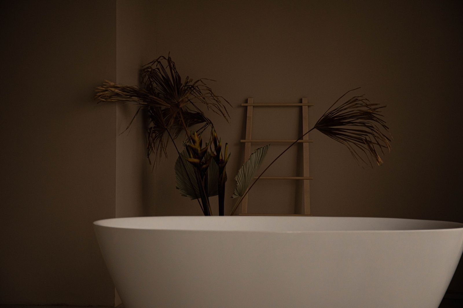 Espace de soin clair avec plante verte, atmosphère zen et naturelle