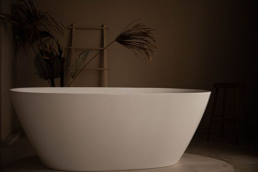 White Ceramic Bathtub With Brown Plants