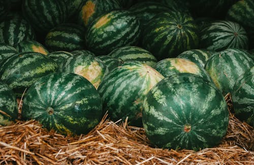 Free Close up of Watermelons Stock Photo