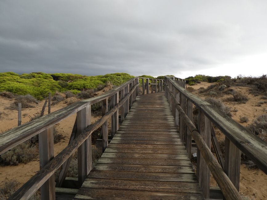 Randonnée à Punta Doncellas — Sentier côtier rocheux