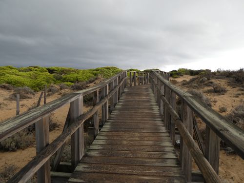 Free Scenic wooden boardwalk through dunes in Punta Umbría, Spain, under cloudy sky. Stock Photo