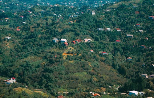Aerial Photography of Houses on Green Mountains