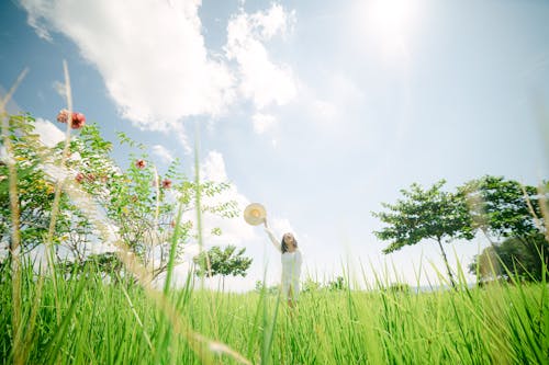 夏天, 女人, 帽子 的 免費圖庫相片