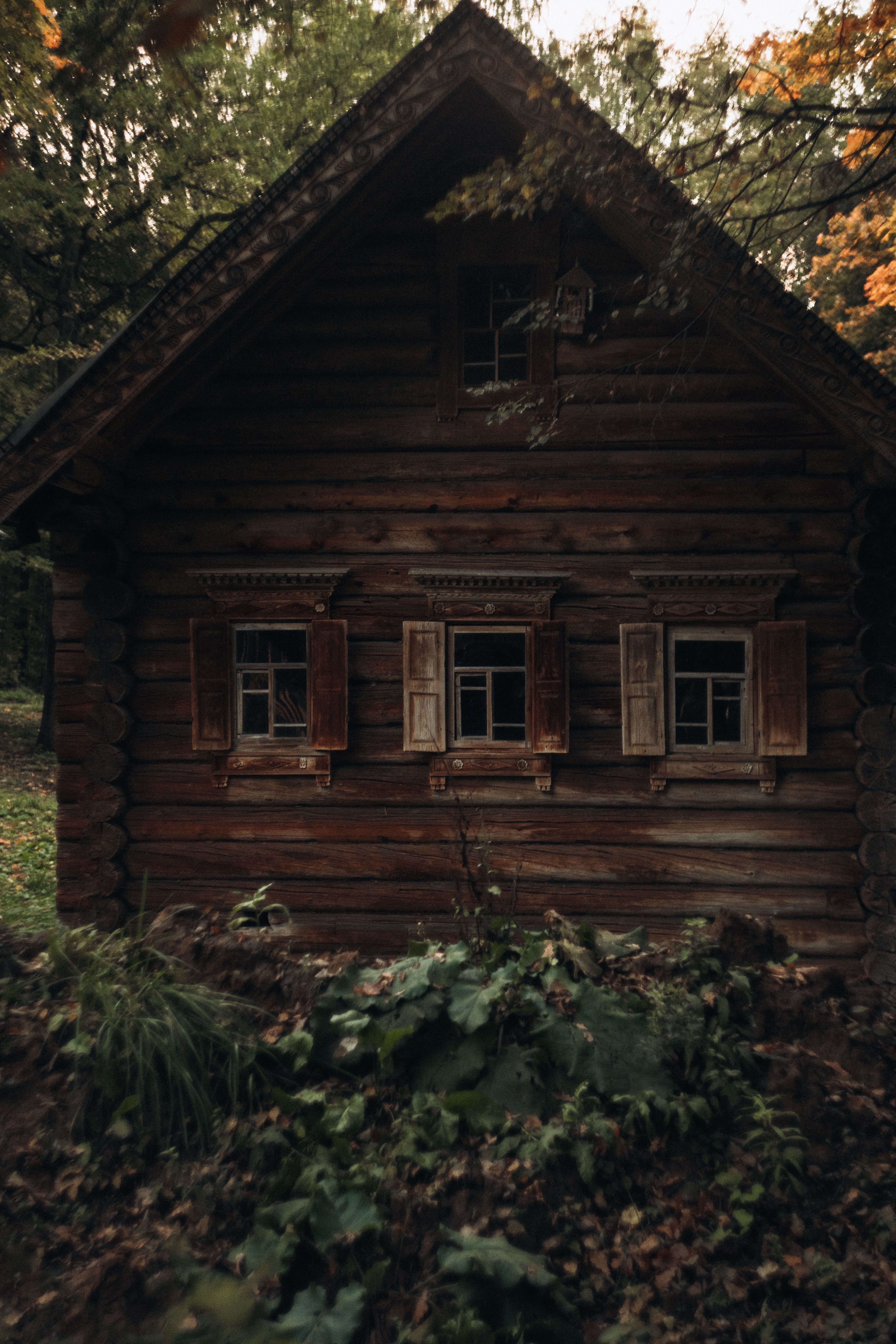 Wooden House in a Forest · Free Stock Photo