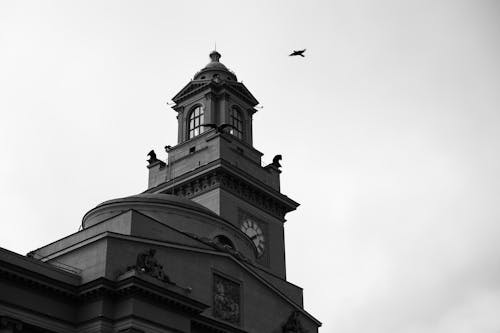 Gratuit Imagine de stoc gratuită din alb-negru, biserică, clădire Fotografie de stoc