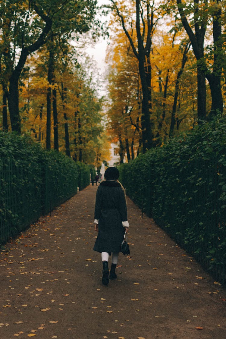 A Woman Walking In A Park