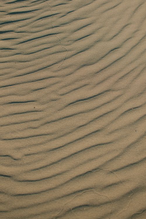 Dunning Texture Texture of Dune · Free Stock Photo