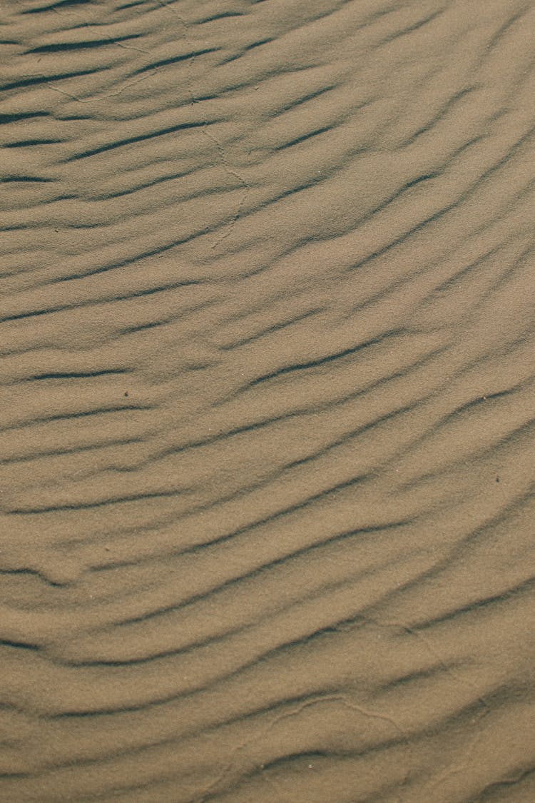 Texture Of Dune