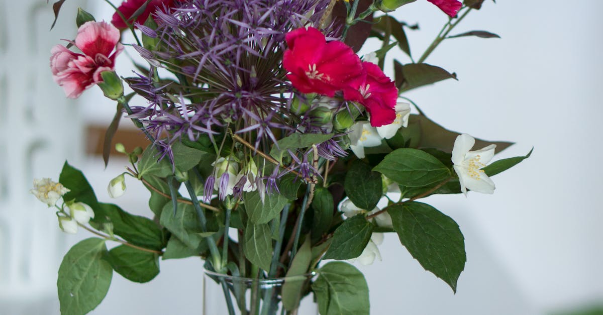 Free stock photo of bouquet, flower bouquet, flowers