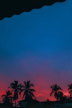 Silhouette of palm trees against a vibrant pink and blue tropical sunset.