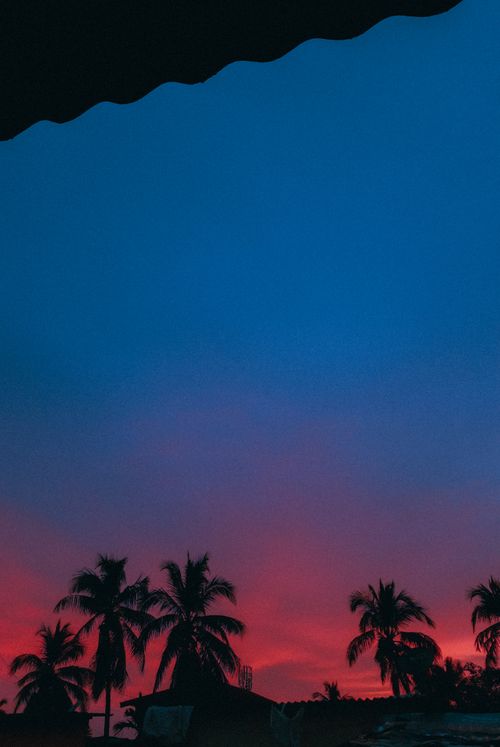 Free Silhouette of palm trees against a vibrant pink and blue tropical sunset. Stock Photo