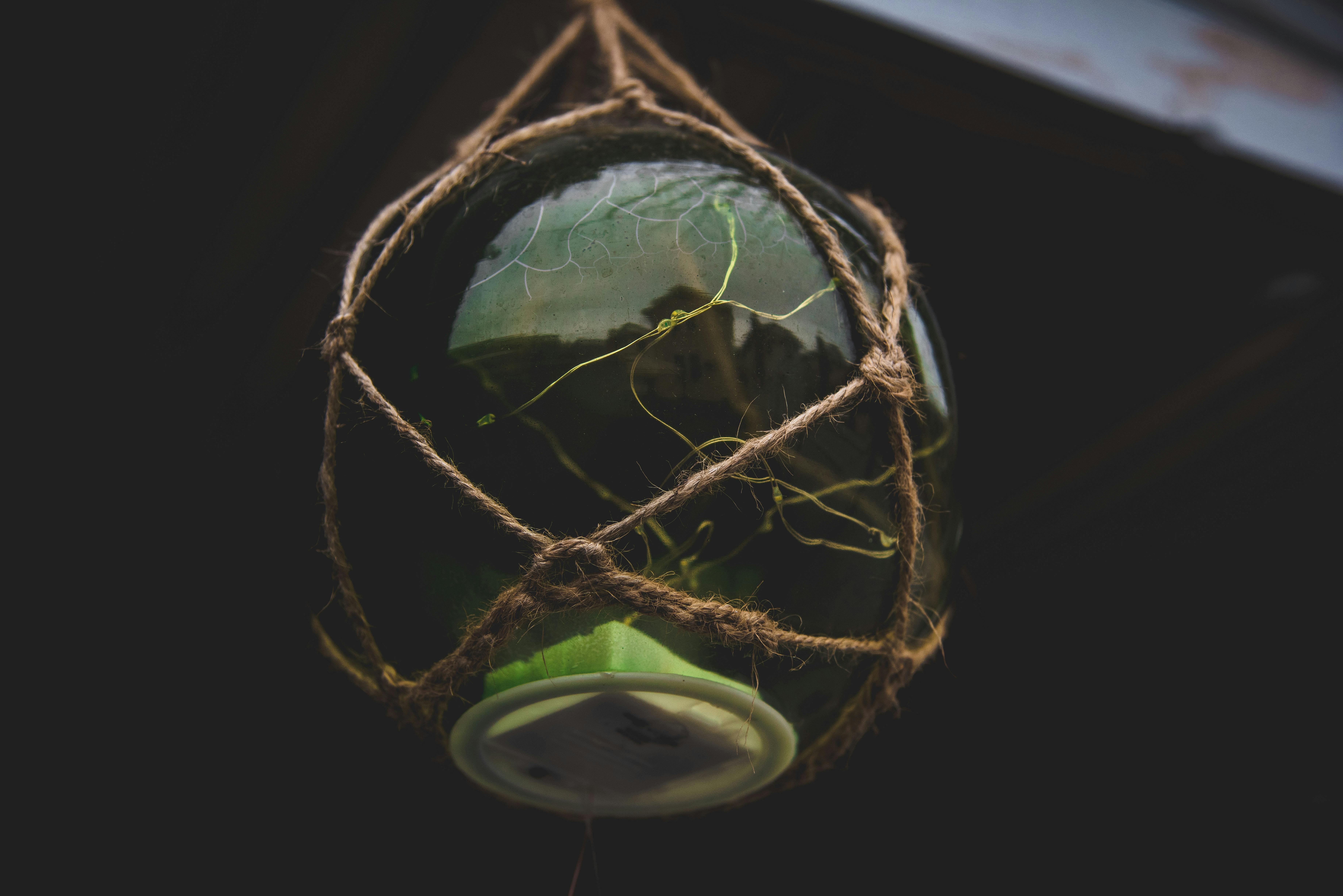 Free stock photo of camp, fire, green