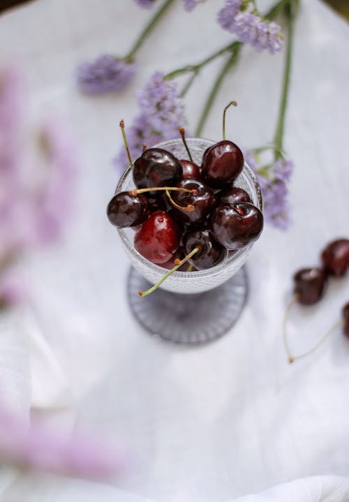 Kostnadsfri bild av glas, kopiera utrymme, körsbär