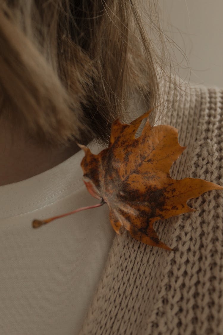 Close-up Of An Autumn Leaf 