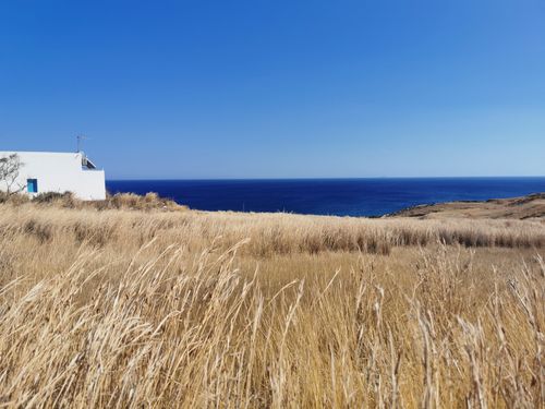 Free Stunning coastal scenery on Milos island, Greece with blue waters and golden fields. Stock Photo