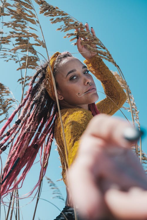 Kostnadsfri bild av blå himmel, dreadlocks, modell