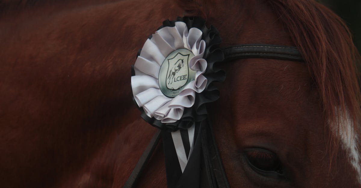 竹市動畫 塹裡尋妖 勇奪三項國際大獎 風采驚艷全球