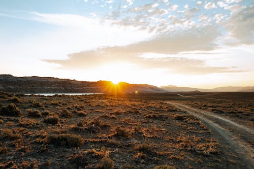 Brown Grass Field during Sunset