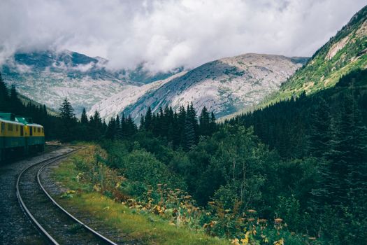 Lush green forest with a railway curving through majestic mountains.