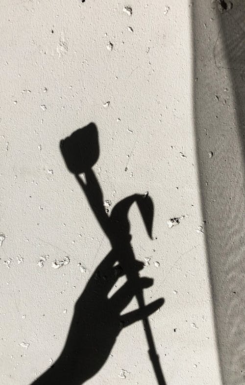 Free Shadow of Flower on a Wall Stock Photo