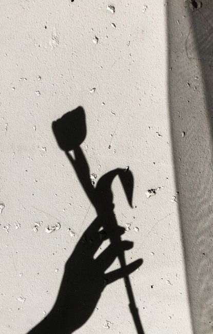 Artistic shadow of hand holding a flower against a textured wall, creating a minimalist silhouette.