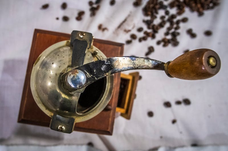 Collection de produits de nutrition animale haut de gamme