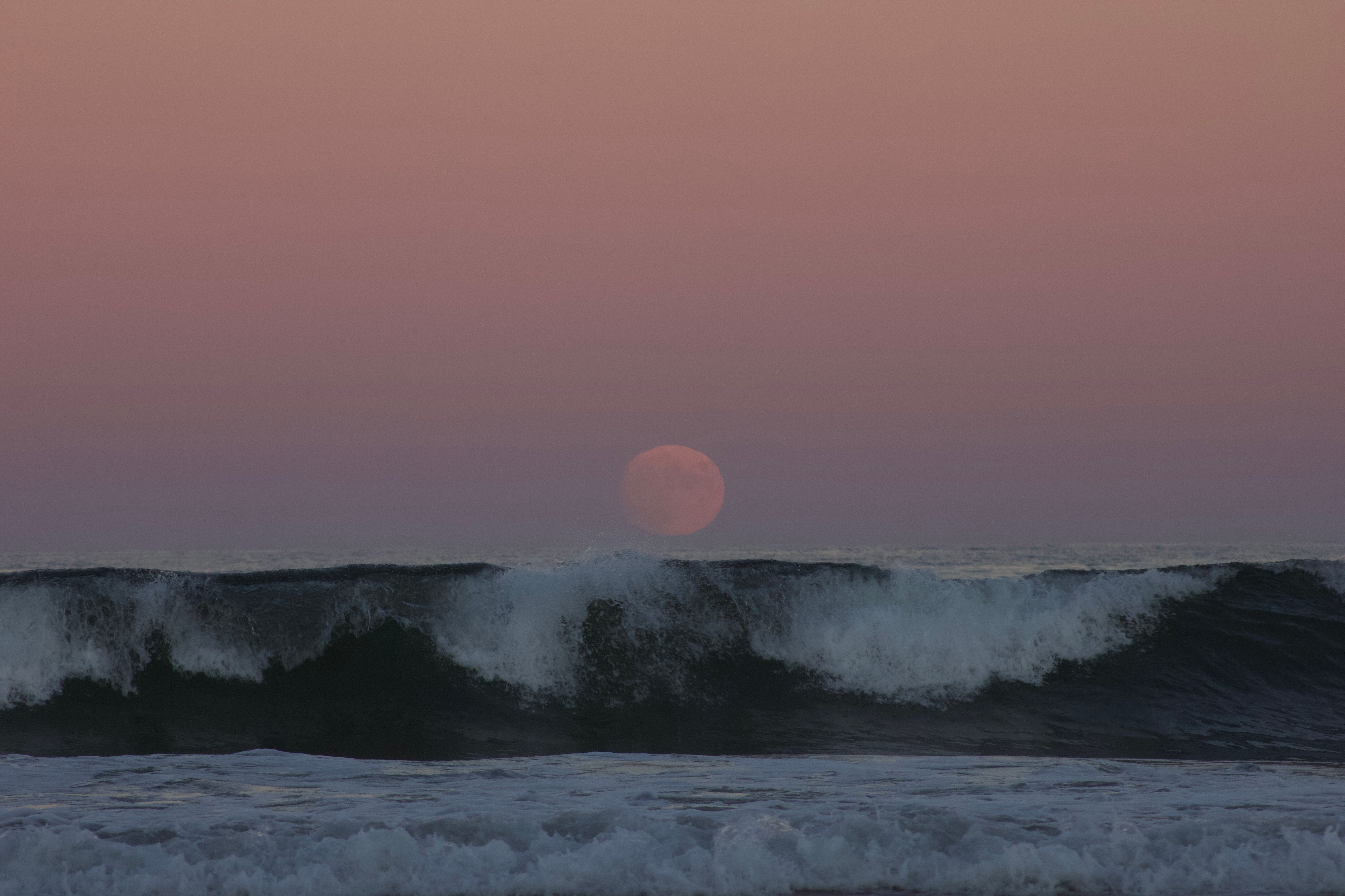 Water Moon