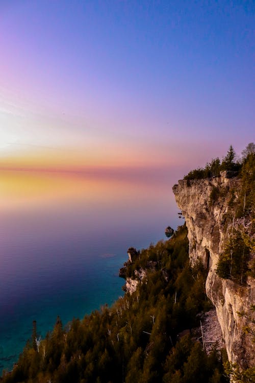 Cliff and Forest on Sea Coast at Sunset