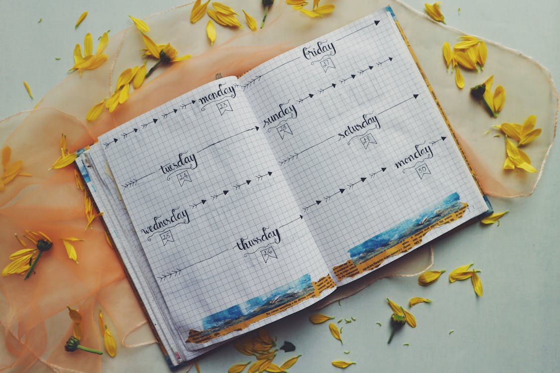 free-stock-photo-of-bullet-journal-planner-weekly