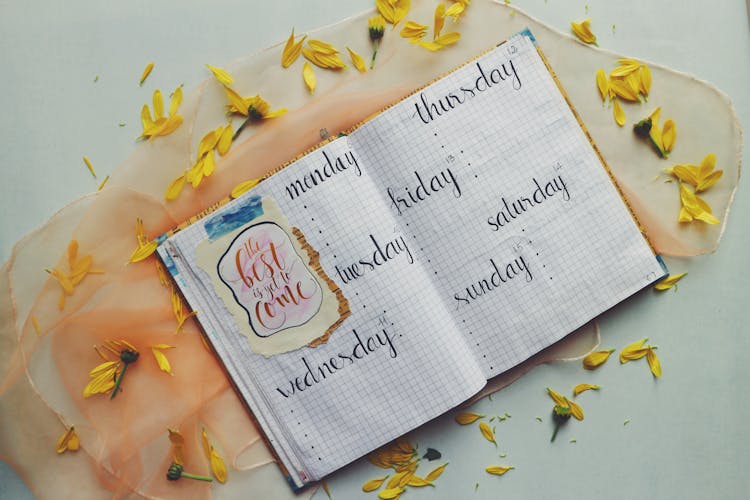 Days Printed Graphing Notebook Surrounded By Yellow Petals