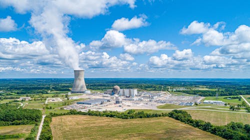 Callaway Plant under Blue Sky 