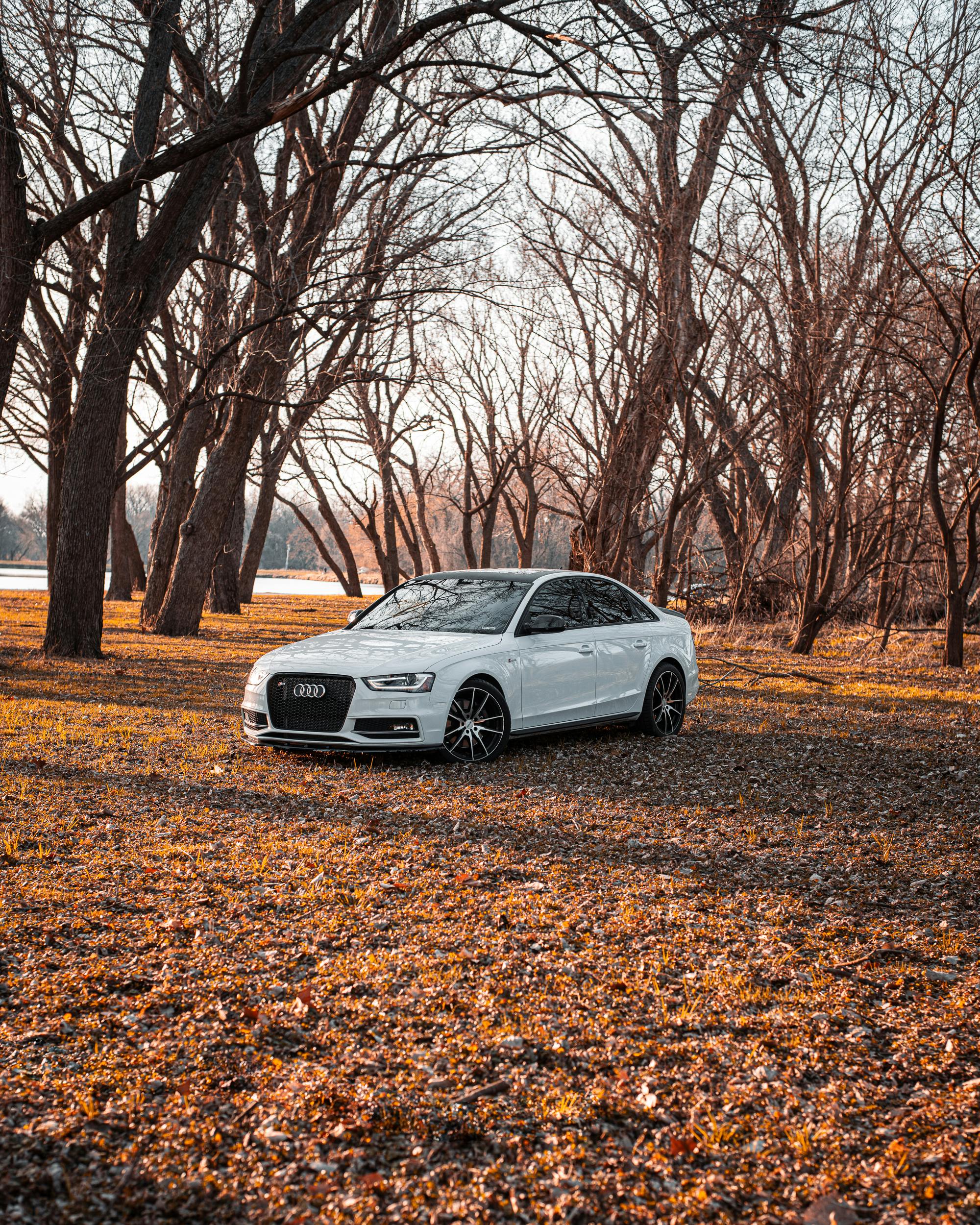 Nếu bạn là fan của xe hơi Audi, chắc hẳn sẽ rất phấn khích khi thấy những hình nền xe Audi đầy phong cách và độc đáo. Dáng xe cực kì đẹp mắt, chiếc xe này sẽ khiến ai nhìn thấy đều phải trầm trồ và thèm thuồng muốn sở hữu.