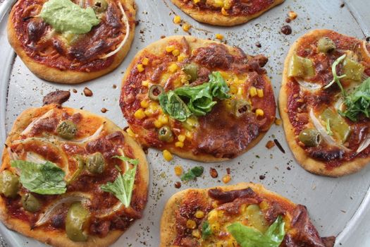 Spicy Italian Handcraft Veggieburgers