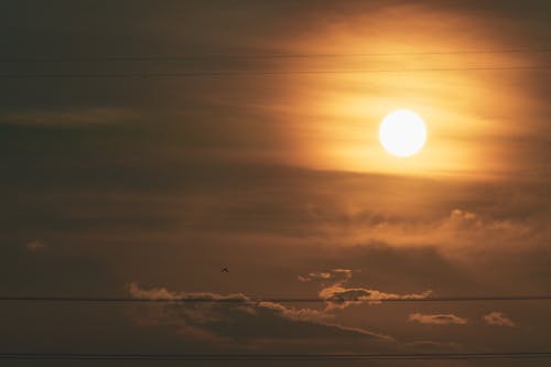 Fotobanka s bezplatnými fotkami na tému fotografia prírody, horizont, magická hodina