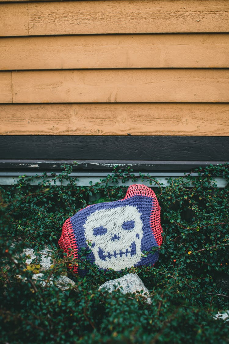 Skull Shape On Bag 