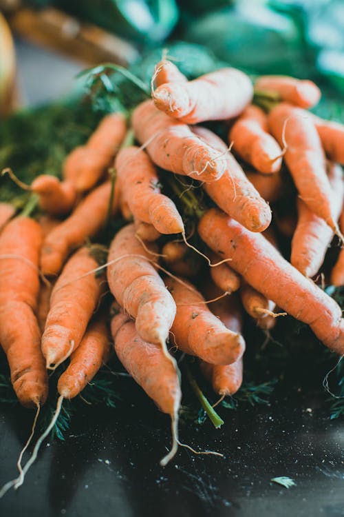 Bunch of Carrots in Close Up Photography